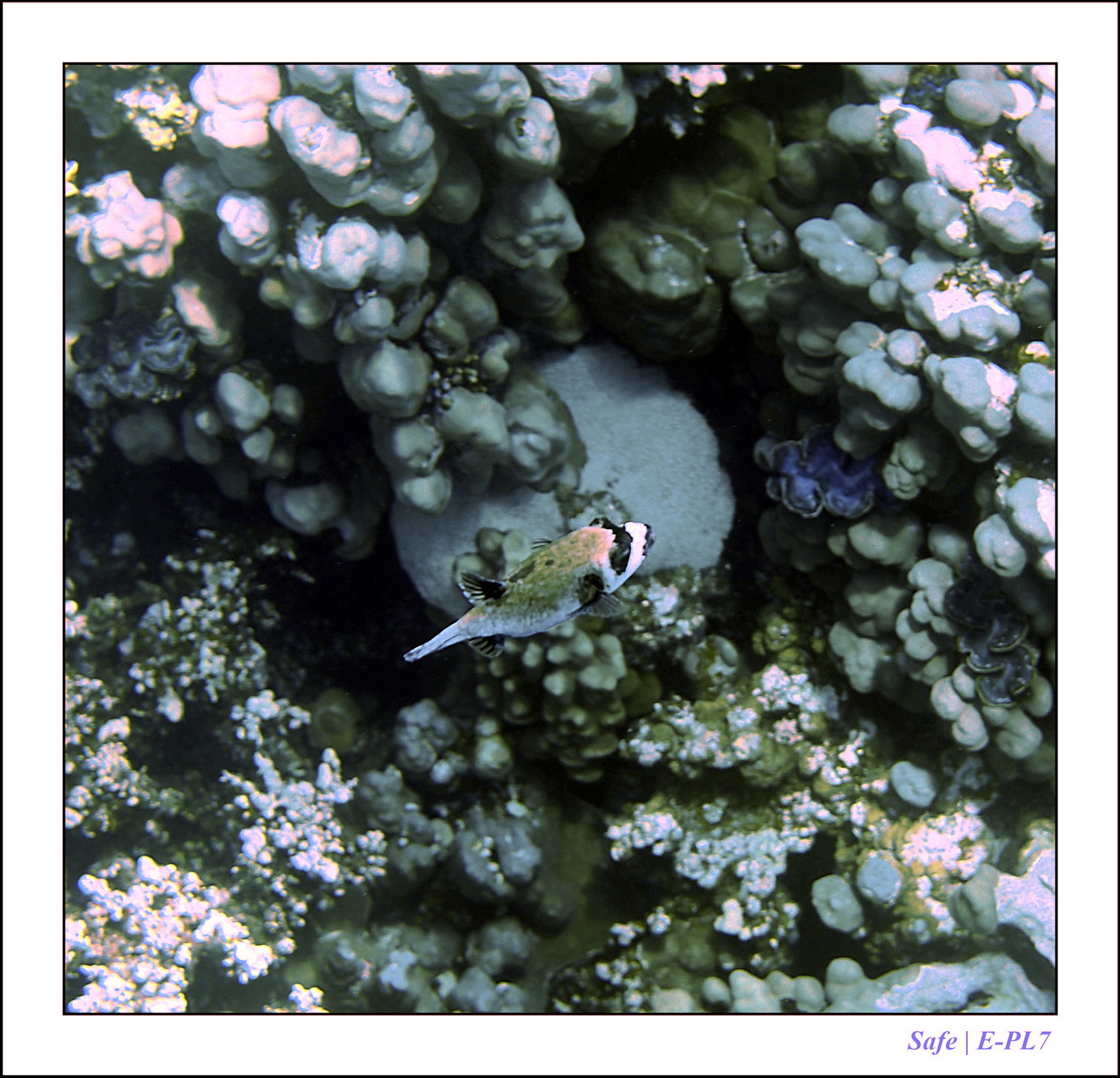 Hurghada - Juillet 2021 - 091